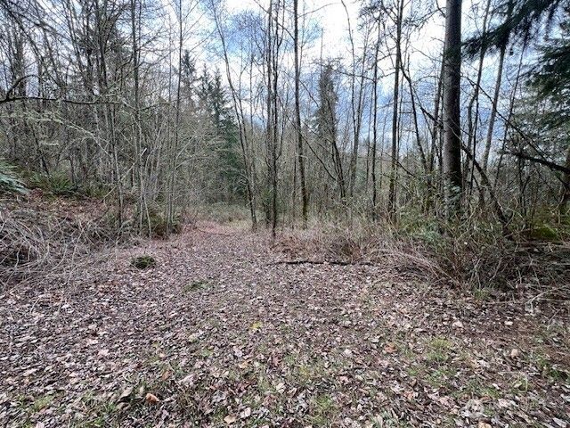 318 Martins Bluff Road, Kalama, WA 98625