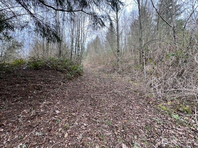 318 Martins Bluff Road, Kalama, WA 98625