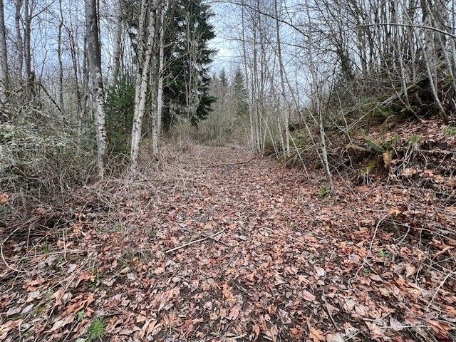 318 Martins Bluff Road, Kalama, WA 98625
