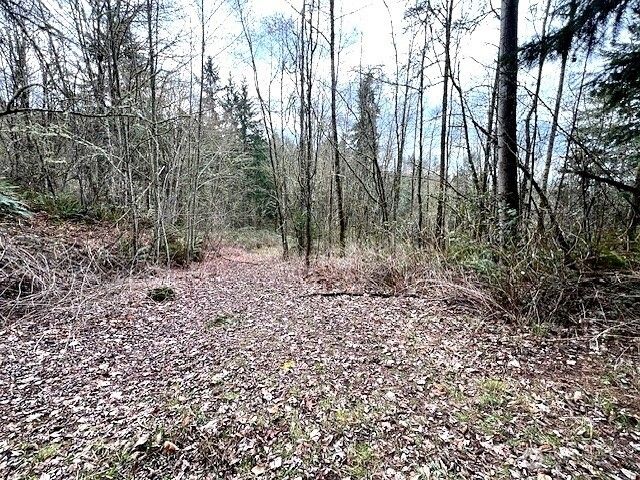 318 Martins Bluff Road, Kalama, WA 98625