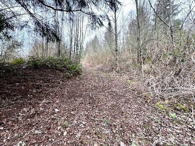 318 Martins Bluff Road, Kalama, WA 98625