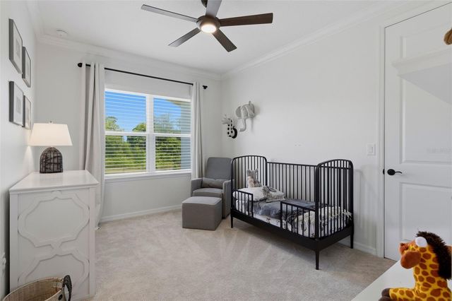 13803 STANSIL AVENUE, Odessa, FL 33556