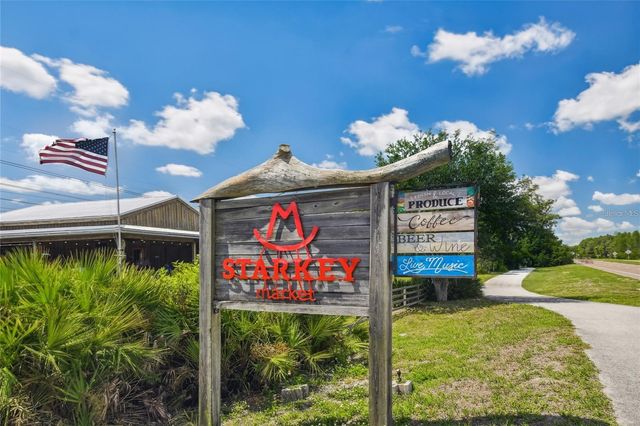 13803 STANSIL AVENUE, Odessa, FL 33556