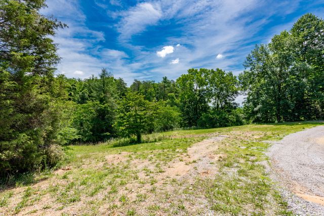 2479 Shut In Gap Road, Spring City, TN 37381