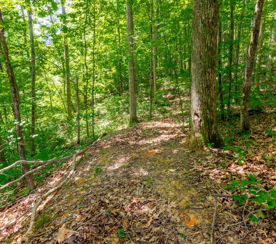 2479 Shut In Gap Road, Spring City, TN 37381