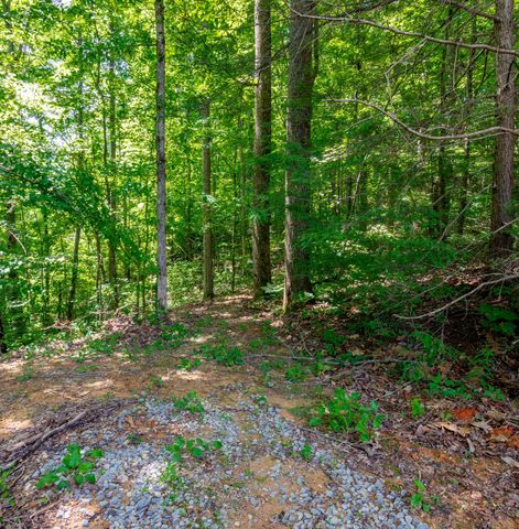 2479 Shut In Gap Road, Spring City, TN 37381