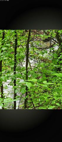 2479 Shut In Gap Road, Spring City, TN 37381