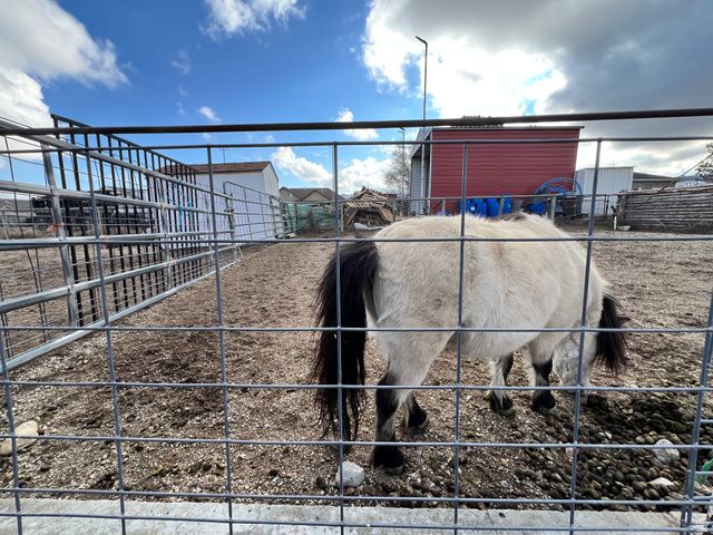 3463 W 14400 S, Bluffdale, UT 84065