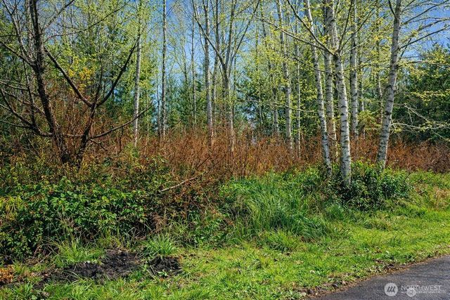 821 Duck Lake Drive NE, Ocean Shores, WA 98569