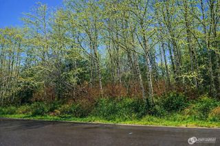 821 Duck Lake Drive NE, Ocean Shores, WA 98569