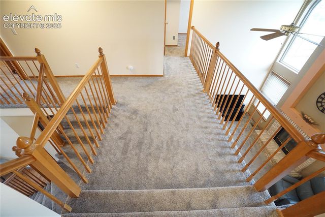 8557 Candleflower Circle, Colorado Springs, CO 80920