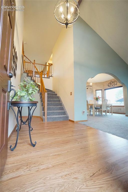 8557 Candleflower Circle, Colorado Springs, CO 80920 — photo 5