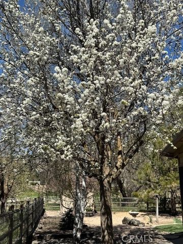 30081 Jamaica Dunes Drive, Tehachapi, CA 93561