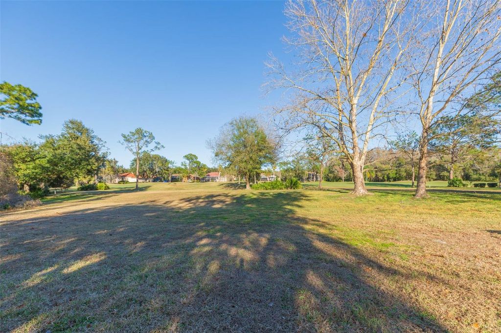 Image 49 of property listing at 9108 CANBERLEY DRIVE, Tampa, FL 33647