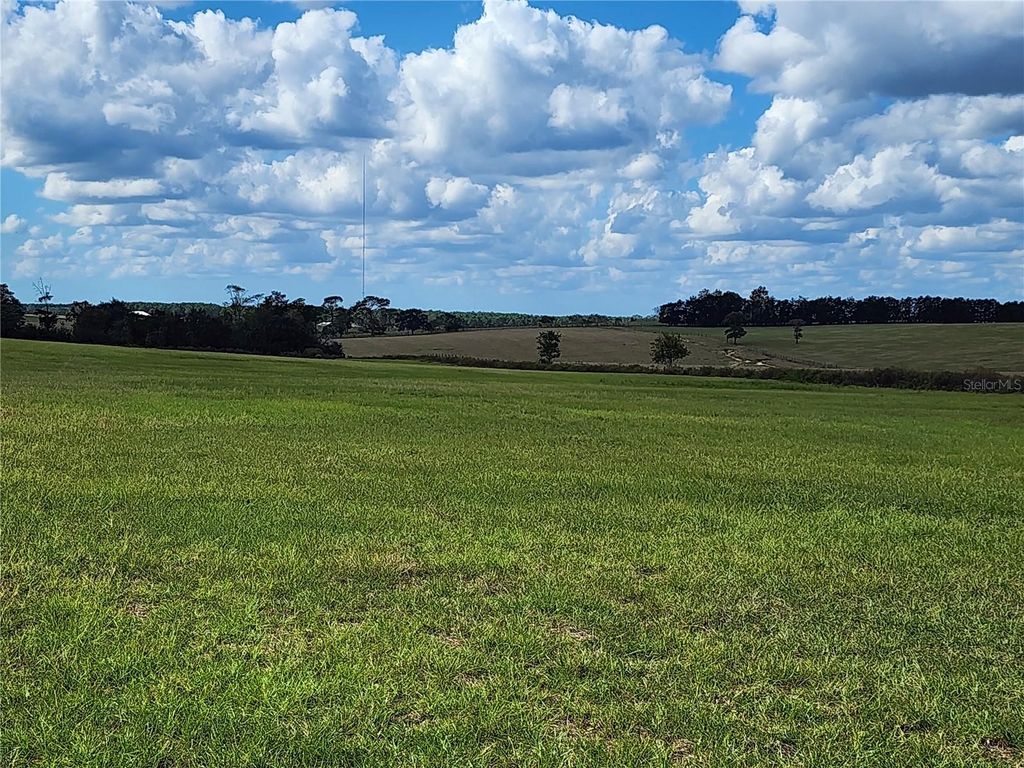 TBD SE 150TH AVENUE, Morriston, FL 32668