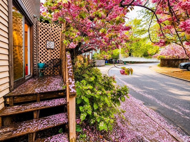 64 White Pl 1, Brookline, MA 02445