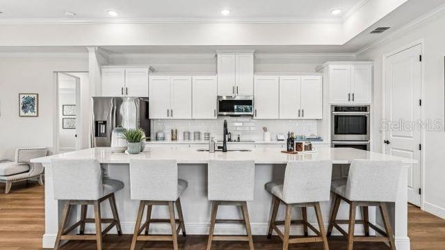 4750 N CAPISTRANO LOOP, Beverly Hills, FL 34465