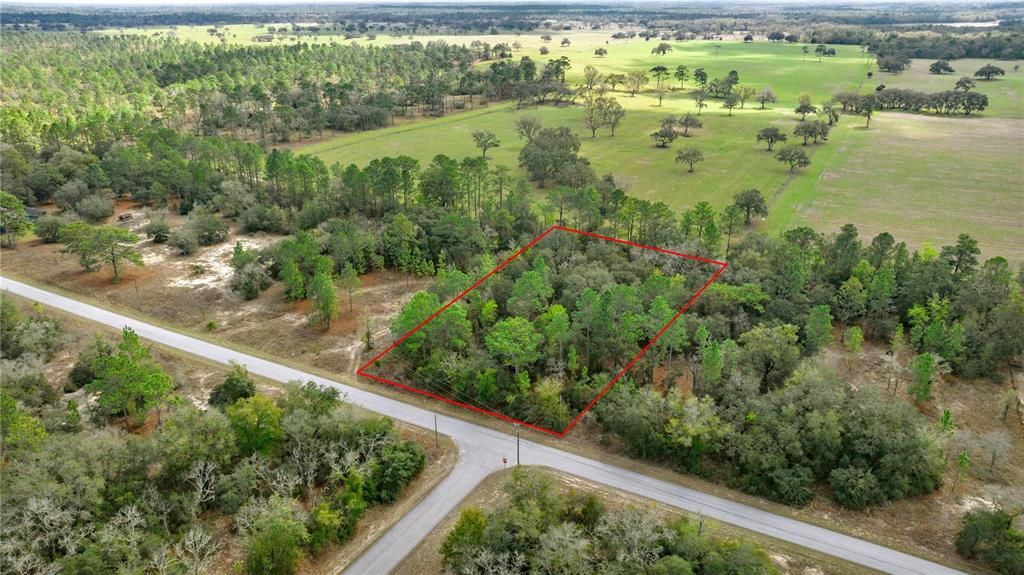 LOT22 SW TIGER LAKE BOULEVARD, Dunnellon, FL 34431