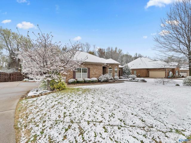 114 Twin Springs Drive, Harvest, AL 35749