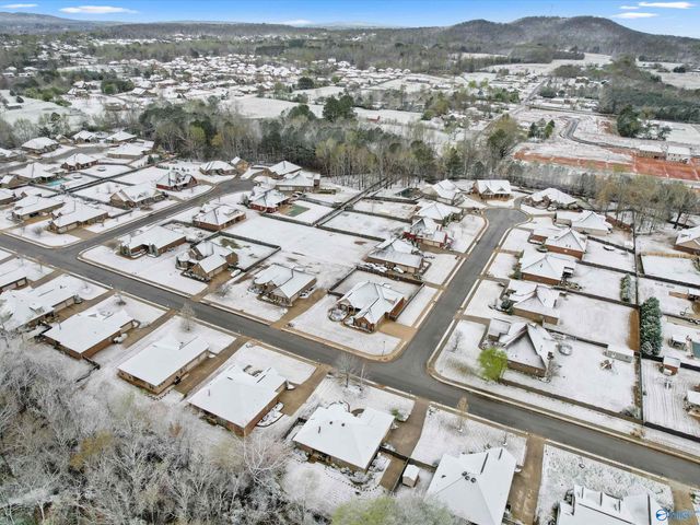 114 Twin Springs Drive, Harvest, AL 35749