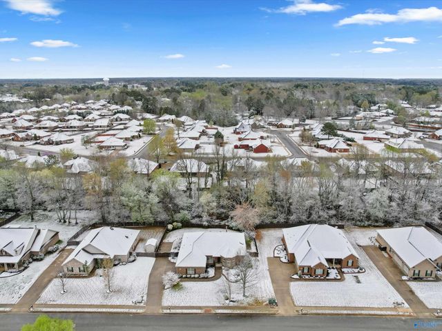 114 Twin Springs Drive, Harvest, AL 35749