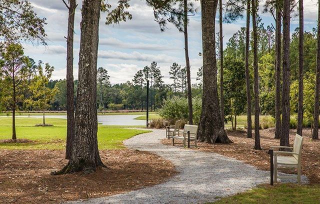 173 Sea Oats Street, Summerville, SC 29485