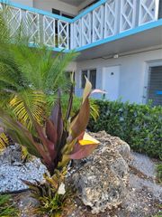 1021 Crystal Lake Dr 104, Deerfield Beach, FL 33064