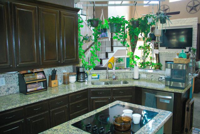 10 Shady Creek Lane, Bridgeport, TX 76426