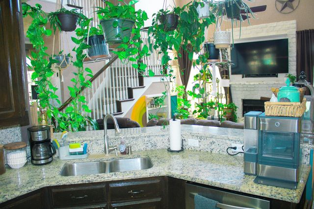 10 Shady Creek Lane, Bridgeport, TX 76426