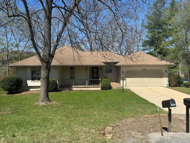 230 Groton Street, Hollister, MO 65672