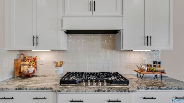 3655 Preserve Park Boulevard SW, Madison, AL 35756