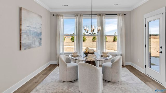 3655 Preserve Park Boulevard SW, Madison, AL 35756