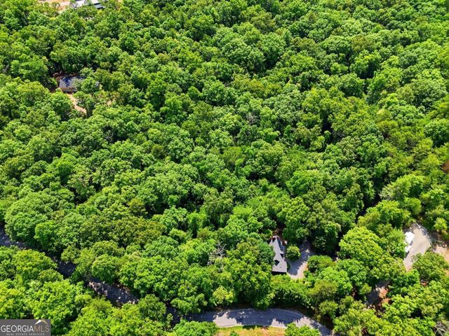 27 Two Cedars Road, Morganton, GA 30560