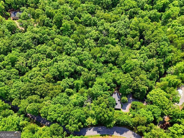 27 Two Cedars Road, Morganton, GA 30560