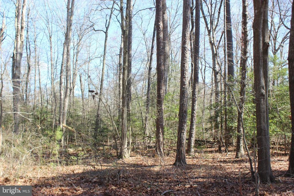 7 BRIGANTINE BLVD, Greenbackville, VA 23356