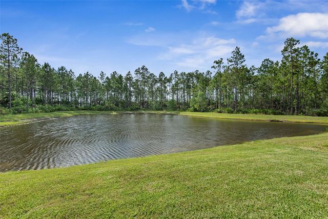 1303 RIBBON PLACE, Palm Coast, FL 32164