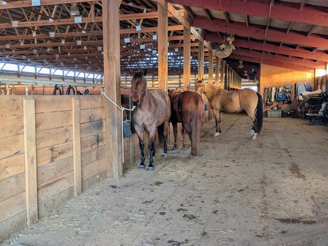 W6800 County Road D, Oxford, WI 53952