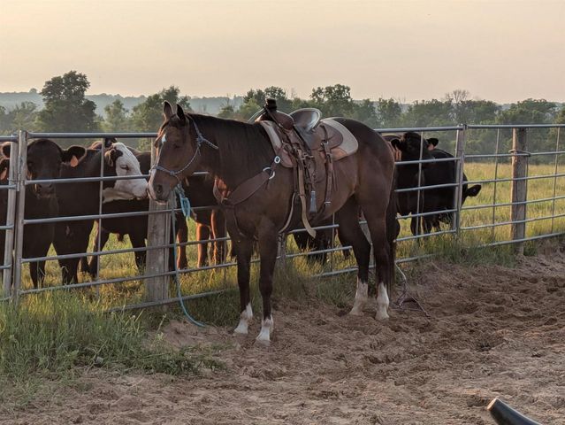 W6800 County Road D, Oxford, WI 53952