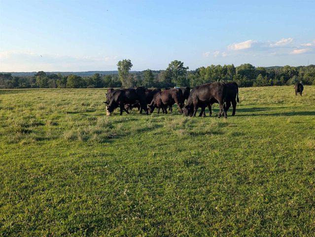 W6800 County Road D, Oxford, WI 53952