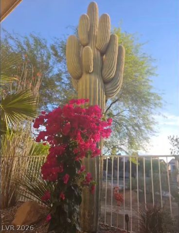 4953 Portraits Place, Las Vegas, NV 89149