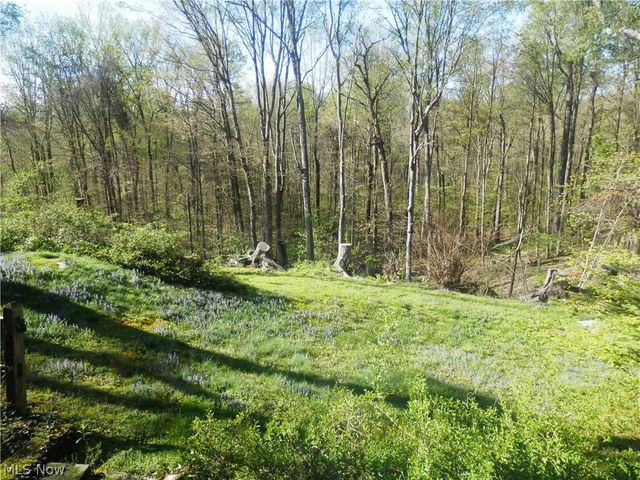 10200 Mayfield Road, Chesterland, OH 44026