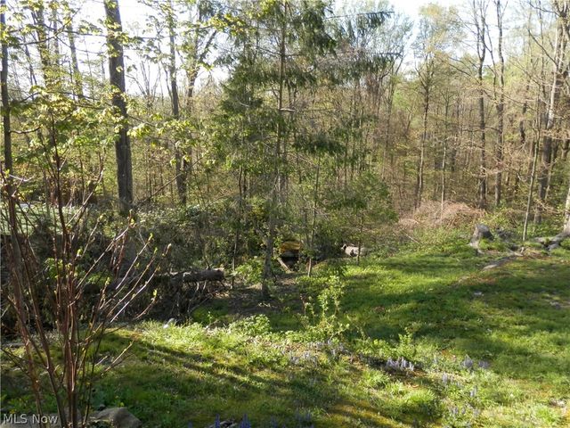 10200 Mayfield Road, Chesterland, OH 44026