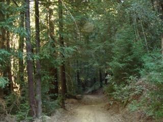 0 Bear Creek Road, Los Gatos, CA 95033