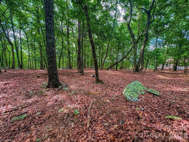 1616 Sierra Trace Road, Denton, NC 27239
