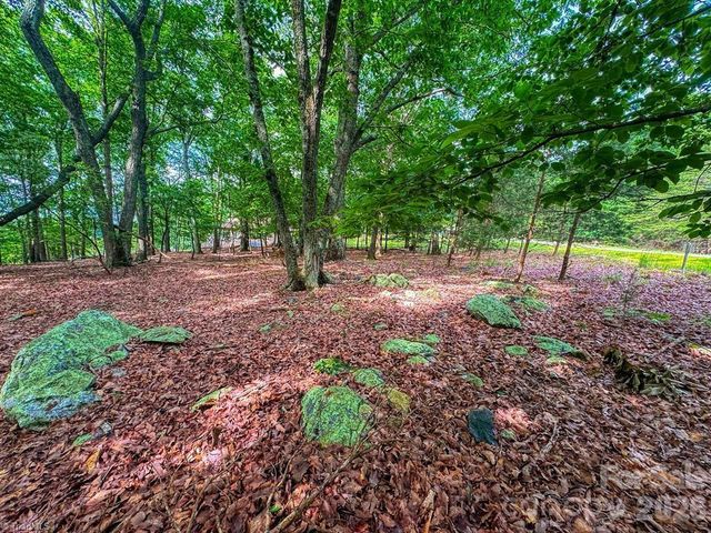 1616 Sierra Trace Road, Denton, NC 27239