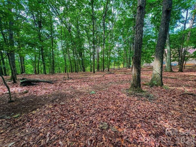 1616 Sierra Trace Road, Denton, NC 27239