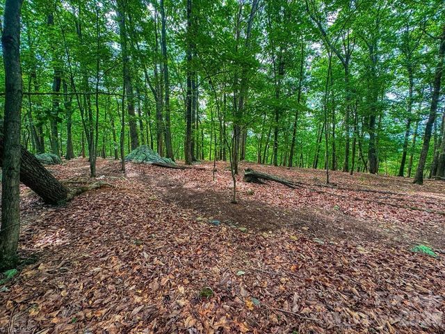 1616 Sierra Trace Road, Denton, NC 27239