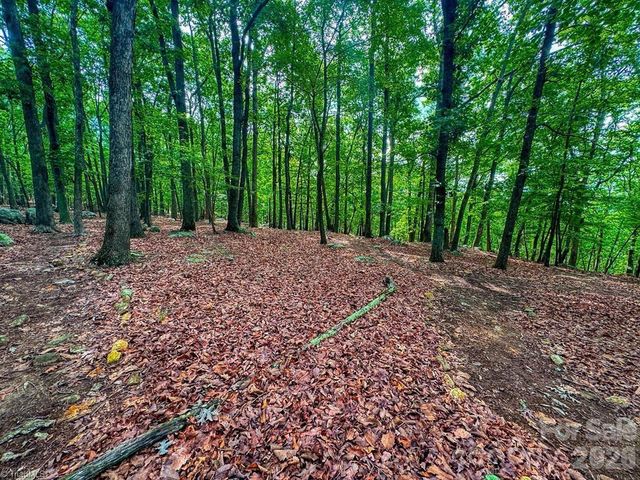 1616 Sierra Trace Road, Denton, NC 27239