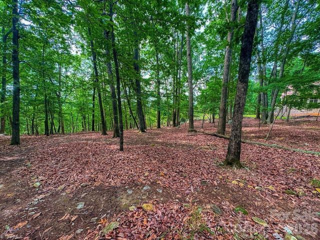 1616 Sierra Trace Road, Denton, NC 27239