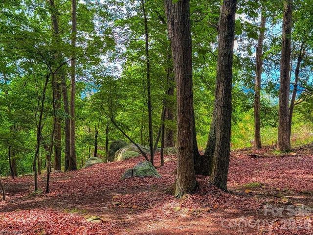 1616 Sierra Trace Road, Denton, NC 27239